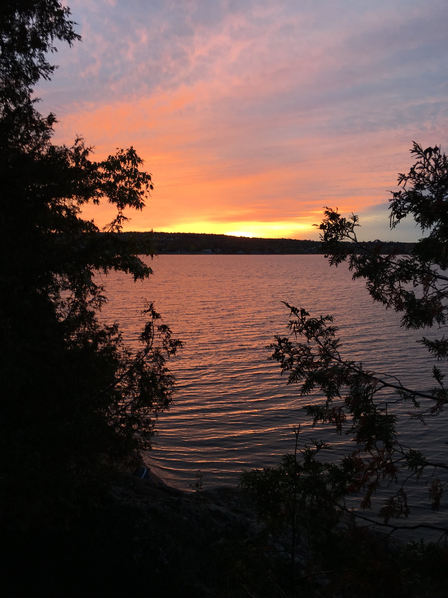 Campfire & Cottage Sample Pack