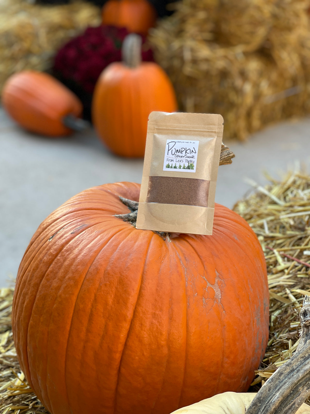 A small kraft paper pouch of Lex's Pantry Pumpkin Spice stands upright on top of a large orange pumpkin, with hay, pumpkins, and fall decor blurred in the background.