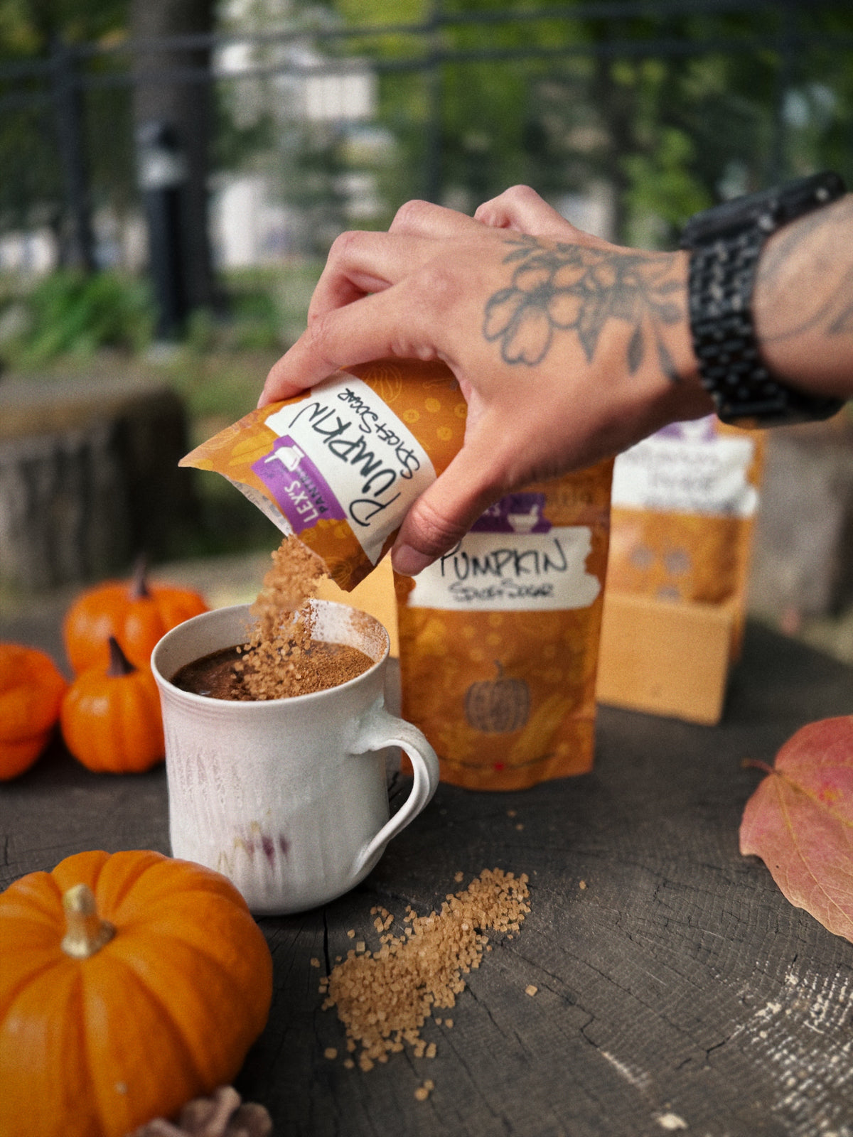 Pumpkin Spice+Sugar - SEASONAL